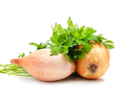 Yellow onion with green parsley isolated on a white background.の写真素材