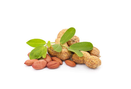 Ripe brown peanuts with leaves isolated on a white background.