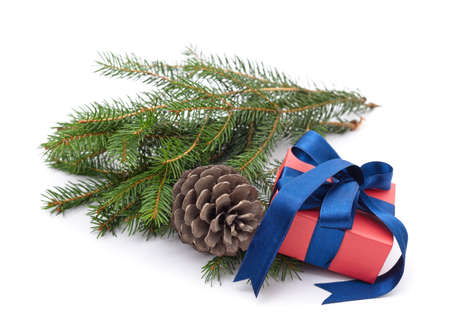 Branches of pine with a gifts isolated on a white background.の写真素材
