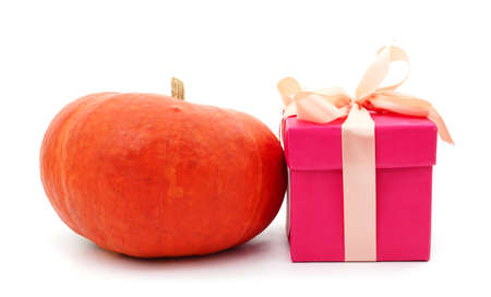 One ripe pumpkin with a gift isolated on a white background.の写真素材