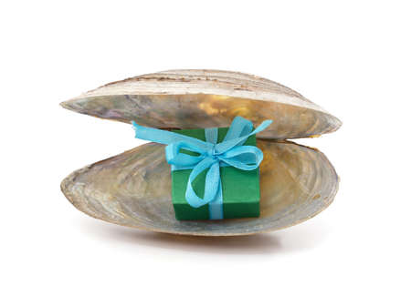 Beautiful gift in a shell isolated on a white background.の写真素材