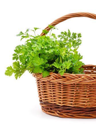Bunch of green parsley in the cart isolated on white background.の写真素材