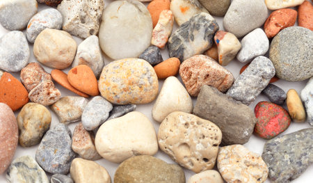 Multicolored sea stones background.の写真素材