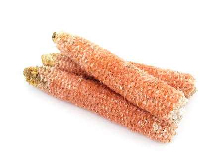 Empty cobs with corn isolated on a white background.の写真素材