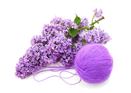 Purple lilac with a ball isolated on a white background.