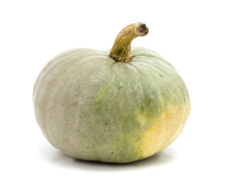 One ripe pumpkin isolated on a white background.の写真素材