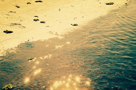 Wild quiet beach at sunset close upの写真素材