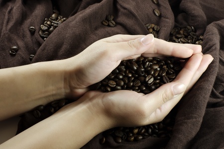 Grains of black roasted coffee in handsの写真素材