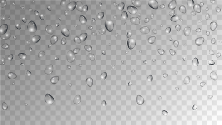 Rain Drops on Transparent Background. Realistic Water Drops for Your Design. Condensation on Glass with many Fresh Droplet. Dew Backdrop. Vector illustration.のイラスト素材