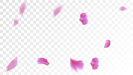 Pink Sakura Petals Falling Down. Isolated Vector illustration of Sakura Petals. Flying Cherry Blossom Background. Design of Greeting or Invitation Card.のイラスト素材