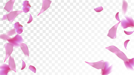 Red Sakura Petals Falling Down. Isolated Vector illustration of Sakura Petals. Flying Red Cherry Blossom Background. Design of Greeting or Invitation Card.のイラスト素材