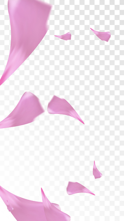 Pink Cherry Blossom Falling Down. Isolated Vector illustration of Cherry Blossom. Flying Pink Sakura Petals Background. Design of Greeting or Invitation Card.のイラスト素材