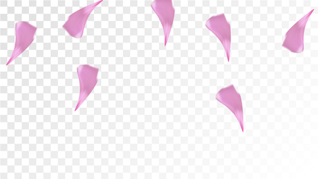 Pink Rose Petals Falling Down. Isolated Vector illustration of Rose Petals. Flying Pink Sakura Blossom Background. Design of Greeting or Invitation Card.のイラスト素材