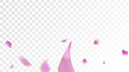 Illustration pour Pink Cherry Blossom Falling Down. Isolated Vector illustration of Cherry Blossom. Flying Pink Sakura Petals Background. Design of Greeting or Invitation Card. - image libre de droit