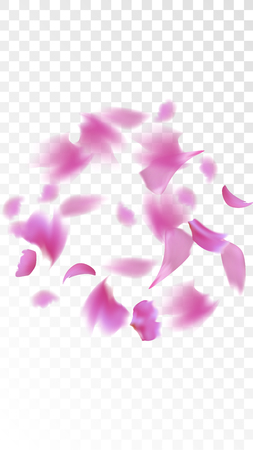 Red Rose Petals Falling Down. Isolated Vector illustration of Rose Petals. Flying Red Sakura Blossom Background. Design of Greeting or Invitation Card.のイラスト素材