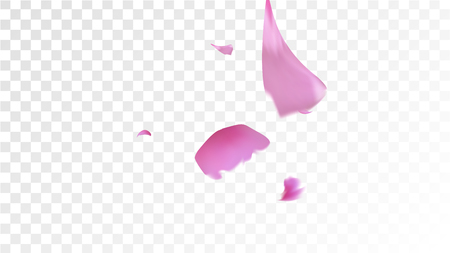 Red Sakura Petals Falling Down. Isolated Vector illustration of Sakura Petals. Flying Red Cherry Blossom Background. Design of Greeting or Invitation Card.のイラスト素材