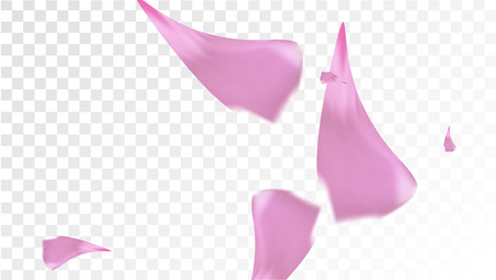 Pink Cherry Petals Falling Down. Isolated Vector illustration of Cherry Petals. Flying Pink Sakura Blossom Background. Design of Greeting or Invitation Card.のイラスト素材