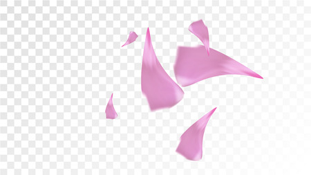 Pink Cherry Blossom Falling Down. Isolated Vector illustration of Cherry Blossom. Flying Pink Sakura Petals Background. Design of Greeting or Invitation Card.のイラスト素材
