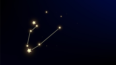 Constellation Map. Dark Galaxy Pattern. Shining Cosmic Sky with Many Stars.     Astronomical Print. Vector Milky Way Background.のイラスト素材