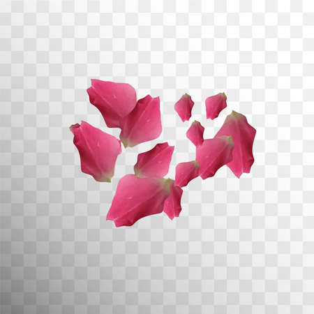 Romantic Template. Romance Wallpaper. Beautiful Luxury Design. Light Blossom. Falling Real Card. Vector Texture. Flower Romantic Template. Botanical Illustration. Romantic Leaf.のイラスト素材