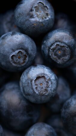 A lot of blueberries filling the whole frame. Concept: healthy nutrition, diet, recipes and farming. Background, grocery. Banner. の写真素材