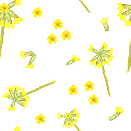 Fresh floral seamless pattern with cowslip. Hand painted watercolour vector. Can be used for fabric, textile, wrapping and packaging.のイラスト素材