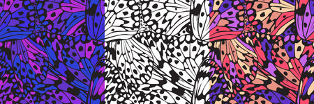 Vector seamless pattern with a wing of a butterfly, three color variations.のイラスト素材