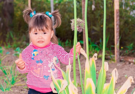 Spring in the park beautiful little girl with pigtails sitting on the grass with a bouquet of flowers.の写真素材