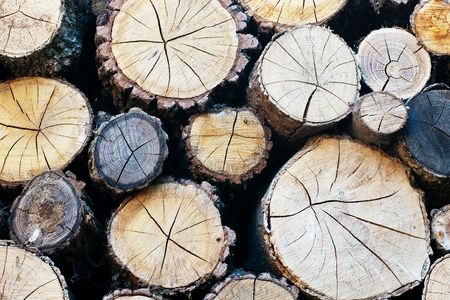 Closeup of chopped firewood logsの写真素材