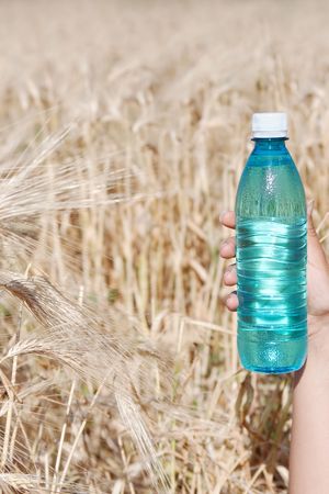 Hand holding bottle of water against ripe wheat with selective focus  