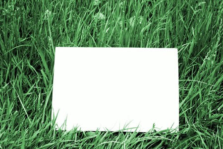 Blank paper card in dark green grass and selective focusの写真素材