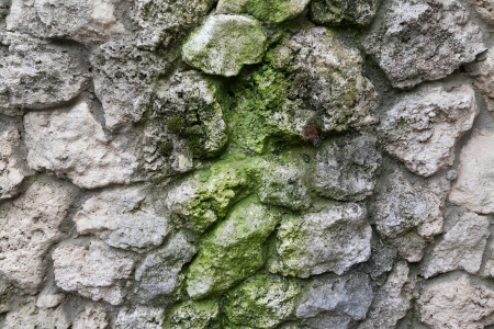 Stone wall texture with moss の写真素材