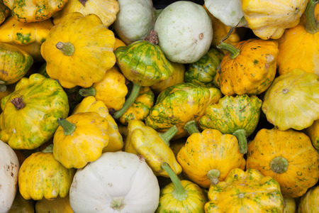 Bunch of different types of squash with selective focus