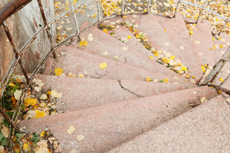 Closeup of stairs outdoors with yellow leavesの写真素材
