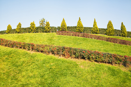 Sunlit park with green grass and blue sky