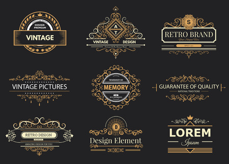 Retro Vintage labels Insignias set. のイラスト素材