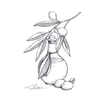 Hand-drawn olive oil and olive branch. Vector sketch illustration.のイラスト素材