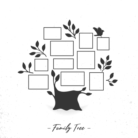 Family tree with photo frames isolated on a white backgroundの写真素材