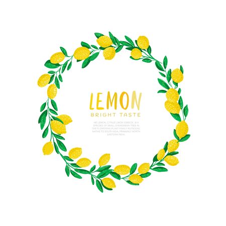 Vector illustration of lemon. Bright taste. Juice, sour yellowのイラスト素材