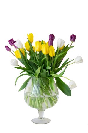 Vase of tulips on a white background, isolate, cutの写真素材