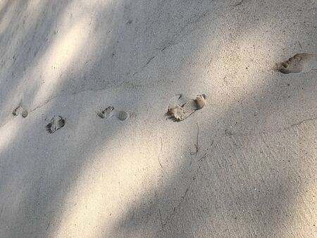 background, texture of sand, footprints in the sandの写真素材