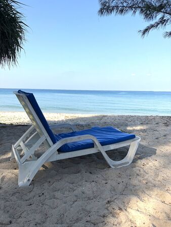 Beach and palm trees on the island of Phuket in Thailandの写真素材