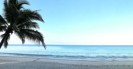 Beach and palm trees on the island of Phuket in Thailandの写真素材