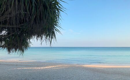 Beach and palm trees on the island of Phuket in Thailandの写真素材