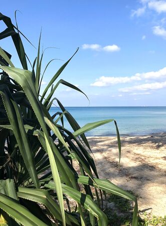 Bang Tao Beach on the ocean in Thailandの写真素材