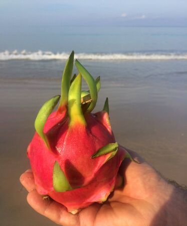 Photo Dragon fruit on the background of the sea on the beach in Thailandの写真素材