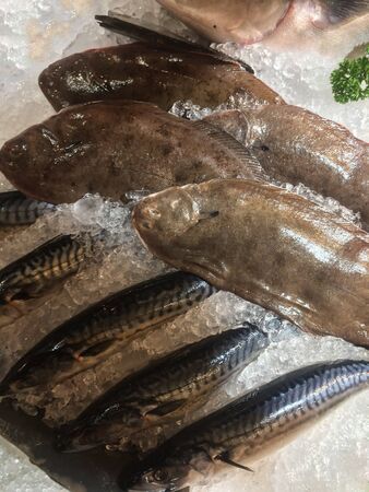 Photo of fresh fish on the counter supermarket