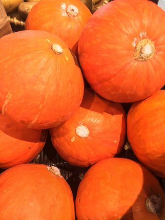 photo pumpkin on the counter supermarketの写真素材