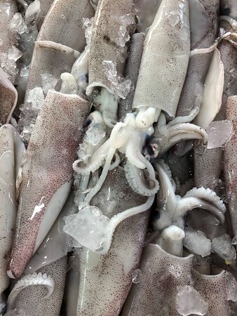 photo fresh seafood on the counter supermarketの写真素材