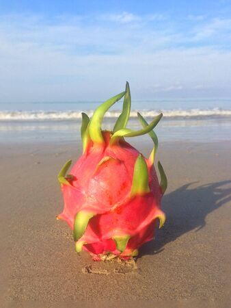Photo Dragon fruit on the background of the sea on the beach in Thailandの写真素材